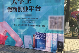 /img/511.png/img/511.png网络贷款被恶意催收：揭秘现象背后的真相/img/511.png